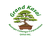 Grand Kasai Nsanga Lubangu Corporation